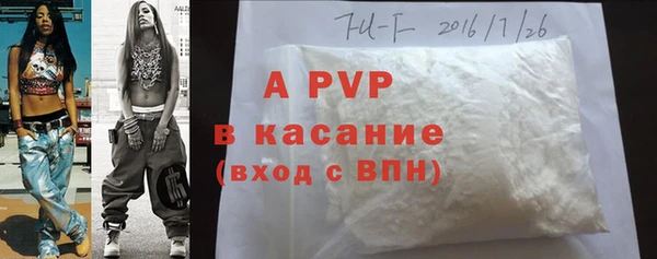 прущие грибы Бугульма