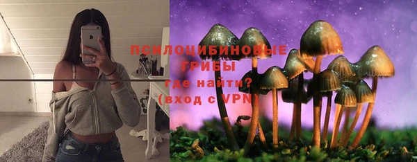 ГАЛЛЮЦИНОГЕННЫЕ ГРИБЫ Богородицк