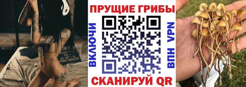 Купить закладки  Лабинск  Галлюциногенные грибы Psilocybe 